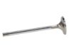 Picture of Manley Engine Exhaust Valve - 11167-12