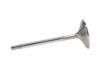 Picture of Manley Engine Intake Valve - 11190-12