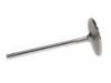Picture of Manley Engine Intake Valve - 11304-1