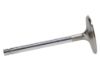 Picture of Manley Engine Intake Valve - 11310-8