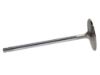 Picture of Manley Engine Intake Valve - 11582-8