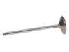 Picture of Manley Engine Exhaust Valve - 11583-8