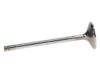Picture of Manley Engine Exhaust Valve - 11611B-1