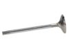 Picture of Manley Engine Exhaust Valve - 11613B-1