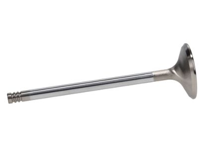 Picture of Manley Engine Exhaust Valve - 11613B-1