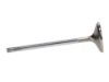 Picture of Manley Engine Exhaust Valve - 11631-8
