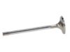 Picture of Manley Engine Exhaust Valve - 11637B-8