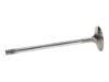 Picture of Manley Engine Exhaust Valve - 11641-10