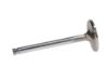 Picture of Manley Engine Intake Valve - 11656-1