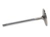 Picture of Manley Engine Intake Valve - 11670-1