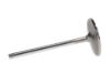 Picture of Manley Engine Intake Valve - 11670B-1