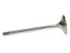 Picture of Manley Engine Exhaust Valve - 11671B-1