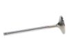 Picture of Manley Engine Intake Valve - 11690-8