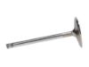 Picture of Manley Engine Intake Valve - 11788-8