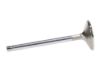 Picture of Manley Engine Exhaust Valve - 11801-1