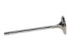 Picture of Manley Engine Exhaust Valve - 11815-8