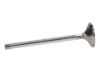 Picture of Manley Engine Exhaust Valve - 11857-8