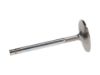 Picture of Manley Engine Exhaust Valve - 11881-1