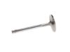 Picture of Manley Engine Exhaust Valve - 11891-8