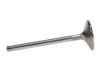 Picture of Manley Engine Exhaust Valve - 11899-1