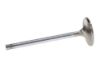Picture of Manley Engine Exhaust Valve - 11925-1
