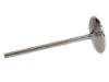 Picture of Manley Engine Intake Valve - 12174B-8
