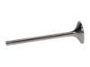 Picture of Manley Engine Exhaust Valve - 12209TB-1
