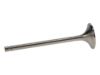 Picture of Manley Engine Exhaust Valve - 12213B-8