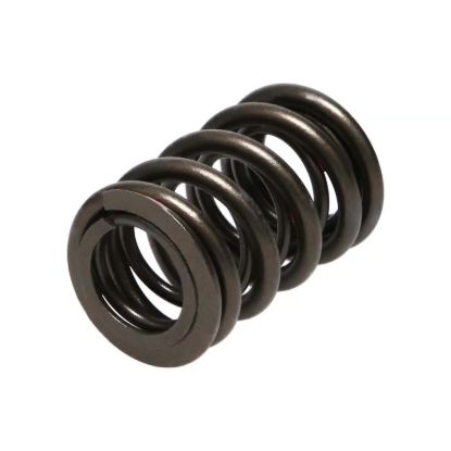 Picture of Manley Engine Valve Spring Kit - 22110-16