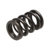 Picture of Manley Engine Valve Spring - 22120-1