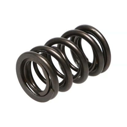 Picture of Manley Engine Valve Spring Kit - 22120-16