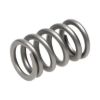 Picture of Manley Engine Valve Spring - 22130-1