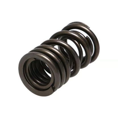 Picture of Manley Engine Valve Spring Kit - 22140-16