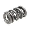 Picture of Manley Engine Valve Spring Kit - 221420-16