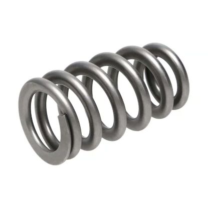 Picture of Manley Engine Valve Spring Kit - 221439-16