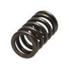 Picture of Manley Engine Valve Spring - 22145-1