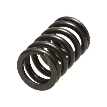 Picture of Manley Engine Valve Spring Kit - 22145-16