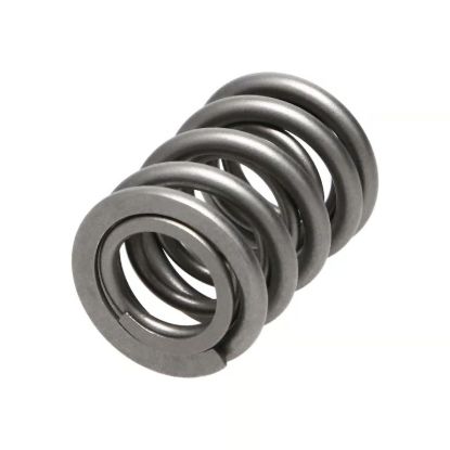 Picture of Manley Engine Valve Spring Kit - 22160-16