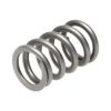 Picture of Manley Engine Valve Spring Kit - 22180-16