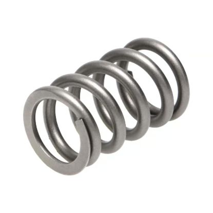 Picture of Manley Engine Valve Spring Kit - 22180-16