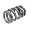 Picture of Manley Engine Valve Spring - 22185-1