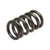 Picture of Manley Engine Valve Spring - 22190-1