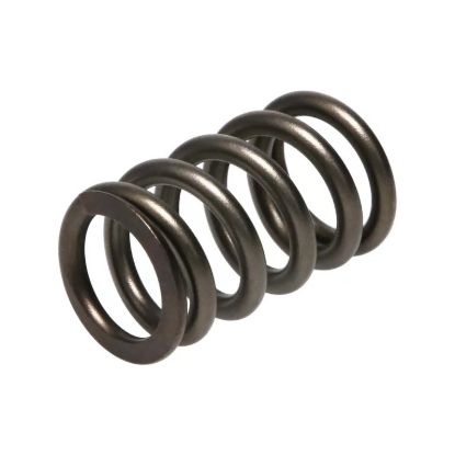 Picture of Manley Engine Valve Spring Kit - 22190-16