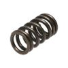 Picture of Manley Engine Valve Spring - 22195-1