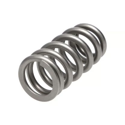 Picture of Manley Engine Valve Spring Kit - 22200-16