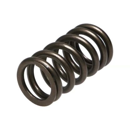 Picture of Manley Engine Valve Spring Kit - 22205-32