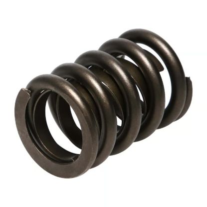 Picture of Manley Engine Valve Spring Kit - 22406-16