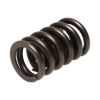Picture of Manley Engine Valve Spring - 22409-1