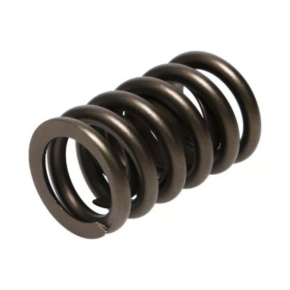 Picture of Manley Engine Valve Spring Kit - 22409-16