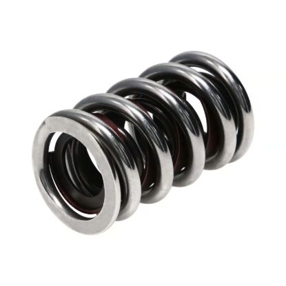 Picture of Manley Engine Valve Spring Kit - 22431-16